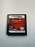 Kung Fu Panda 2008 Nintendo DS Cartridge Only