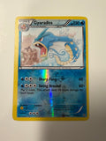Pokemon TCG Gyarados 24/124 Dragons Exalted Reverse Holo Rare