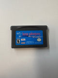 Horse Adventures Blue Ribbon Race Gameboy Advance Authentic Cart