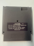 Wizards & Warriors NES Nintendo Authentic Cartridge