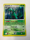 Pokemon TCG Sceptile 10/100 Stormfront Holo Rare