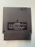 Chris Evert & Ivan Lendl IN Top Player Tennis NES Nintendo Authentic Cartridge
