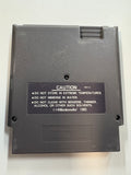 Kings Of The Beach NES Nintendo Authentic Cartridge