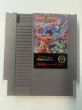Wizards & Warriors NES Nintendo Authentic Cartridge