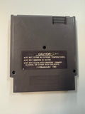 Dragon Spirit NES Nintendo Authentic Cartridge