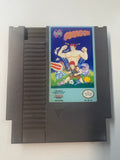 Amagon NES Nintendo Authentic Cartridge