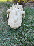 1984 He-Man Masters of the Universe MOTU Battle Bones