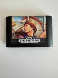 Sword of Vermillion Sega Genesis 1990 CIB Includes Hint Book! MINT!
