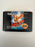 Sorcerer's Kingdom Sega Genesis 1992 CIB Complete In Box
