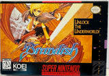 Brandish Nintendo SNES 1995 100% CIB Complete in Box