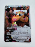 Pokemon TCG Landorus BW43 Black Star Promo Full Art Holo