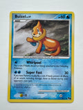 Pokemon TCG Buizel 6/17 POP Series 9 Non Holo