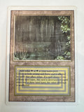 MTG 1994 Bayou Revised Edition Magic the Gathering