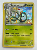 Pokemon TCG Serperior 5/114 Black & White Cracked Ice Holo Rare