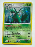 Pokemon TCG Sceptile 10/100 Stormfront Holo Rare