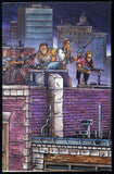 Raphael #1 Vol. 1 Mirage Studios 1987 (VF/NM) 1st App of Casey Jones!