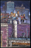 Raphael #1 Vol. 1 Mirage Studios 1987 (VF-) 1st App of Casey Jones!
