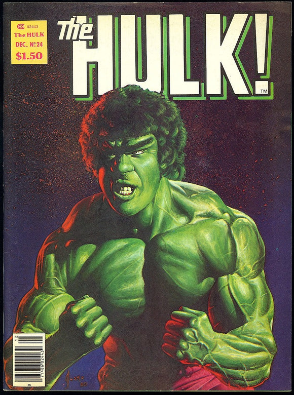 The Hulk #24 Marvel Magazine 1980 Classic Lou Ferrigno Cover!