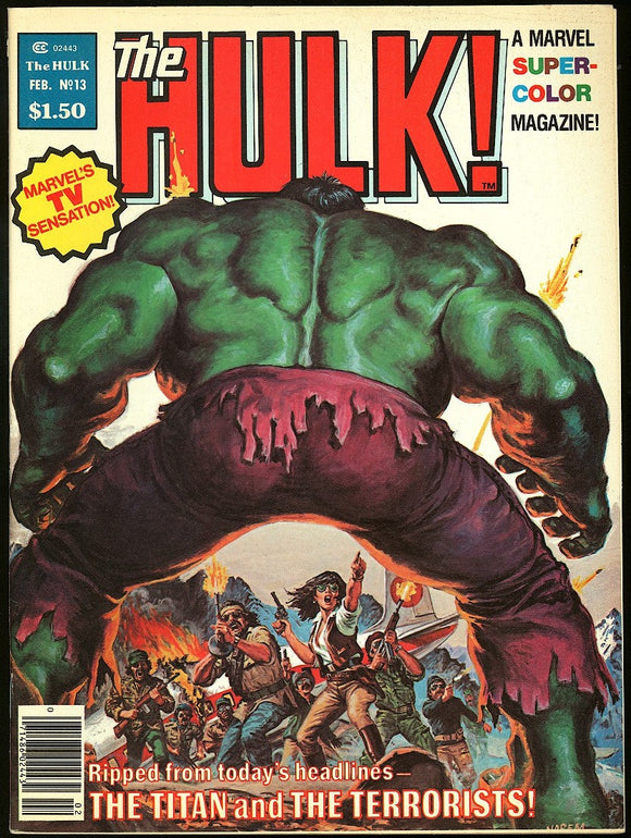 The Hulk #13 Marvel Magazine 1979 1st Bill Sienkiewicz Moon Knight!